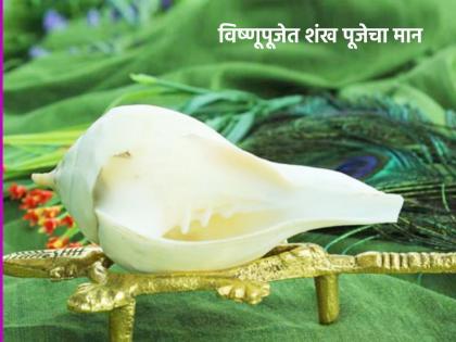 Kamada Ekadashi 2023: On Kamada Ekadashi don't forget to do Shankha Puja along with Vishnu Puja, Know the importance of Shankha Puja! | Kamada Ekadashi 2023: कामदा एकादशीनिमित्त विष्णू पूजेबरोबर शंखपुजा करायला विसरू नका, जाणून घ्या शंख पूजेचे महत्त्व!