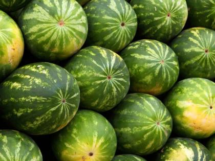 water melon demand increased Inflow of more than 700 tonnes per day Increased demand during Ramadan | कलिंगडाचीच आवक वाढली; प्रति दिन ७०० टनपेक्षा जास्त आवक; रमजाननिमित्त वाढली मागणी