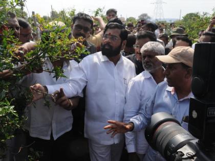 Emphasis on farmer issues Less rain this year Skymet predicts In the state in July August | बळीराजाच्या चिंतेत भर; यंदा कमी पाऊस, स्कायमेटचा अंदाज; राज्यात जुलै-ऑगस्टमध्ये ओढ