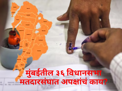 Voters do not vote for independent candidates in 36 assembly constituencies in Mumbai | मुंबईमध्ये अपक्षांना थारा नाहीच! ३६ मतदारसंघांतील आकेडवारी काय सांगते?