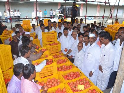 Lime and Orange auction soon in the city market committee | नगर बाजार समितीमध्ये लवकरच लिंबू व संत्राचे लिलाव