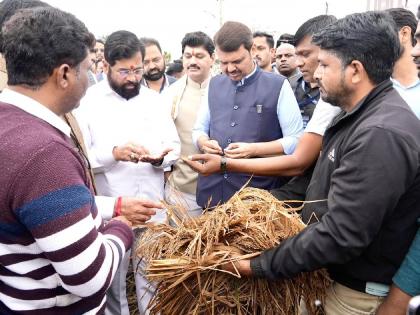 CM Eknath Shinde, Devendra Fadnavis and Dhananjay Munde Visited farmers whose farms have suffered due to unseasonal rains | विरोधक आक्रमक, कृषी मंत्र्यांसह मुख्यमंत्री शिंदे, उपमुख्यमंत्री फडणवीस बांधावर