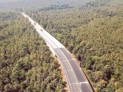 'Underpass' for animals!.. | प्राण्यांसाठी  ‘अंडरपास’!