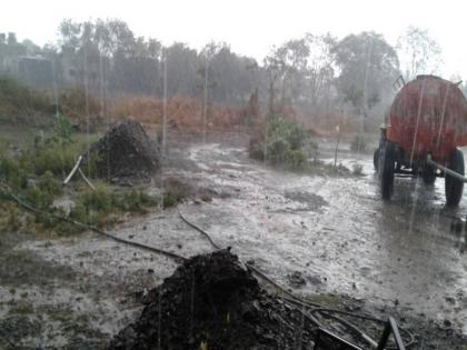 There will be thunder and lightning in the state; Hail will fall; Weather forecast | राज्यात कडकडाट, गडगडाट होणार; गारा कोसळणार; हवामान खात्याचा अंदाज