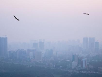 Due to the cloudy weather, the cold will disappear in Mumbai and Konkan. | नववर्षात थंडीचा काढता पाय; मुंबई ढगाळ होणार, हवामान विभागाने वर्तवला अंदाज