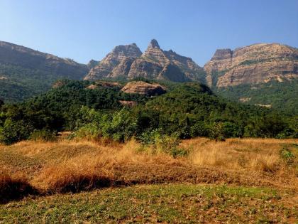Gopichand Padalkar's demand gets a big success, the name of Nizampur Gram Panchayat near Rayagada is changed | गोपिचंद पडळकर यांच्या मागणीला मोठं यश, रायगडाजवळील निजामपूर ग्रामपंचायतीचं नाव बदललं Gopichand Padalkar's demand gets a big success, the name of Nizampur Gram Panchayat near Rayagada is changed | गोपिचंद पडळकर यांच्या मागणीला मोठं यश, रायगडाजवळील निजामपूर ग्रामपंचायतीचं नाव बदललं