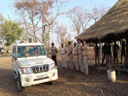 8 trap cameras in Dewar after leopard attack On Sunday, a woman was injured in a leopard attack | बुलढाणा: बिबट्ट्याच्या हल्ल्यानंतर देव्हारीत ८ ट्रॅप कॅमेरे, रविवारीहल्ल्यात महिला झाली होती जखमी