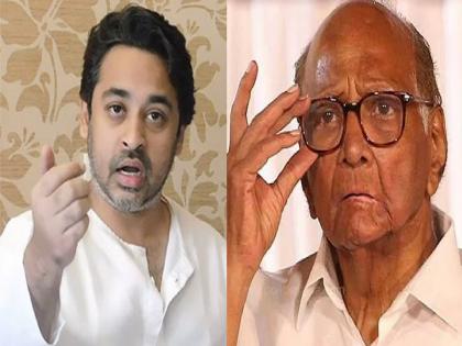 BJP Leader Nilesh Rane slams NCP president Sharad Pawar over uemployment and farmer issue | Nilesh Rane: "4 वेळा मुख्यमंत्री, 20 वर्षे केंद्रात मंत्री, तरीदेखील...", निलेश राणेंची शरद पवारांवर खोचक टीका