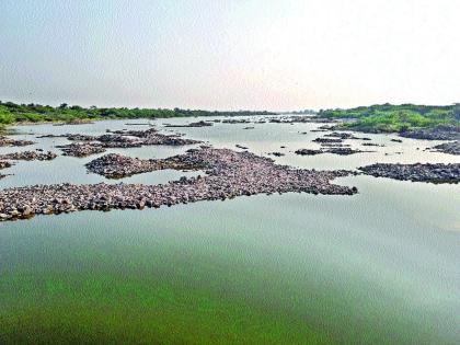 Neera river water is becoming less water | नीरा नदीपात्रातील पाणी होत आहे कमी