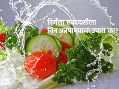 Nirjala Ekadashi 2023: Why fast without water on Nirjala Ekadashi? Know the purpose behind it! | Nirjala Ekadashi 2023: निर्जला एकादशीला बिनअन्नपाण्याचा उपास का? जाणून घ्या त्यामागील प्रयोजन!