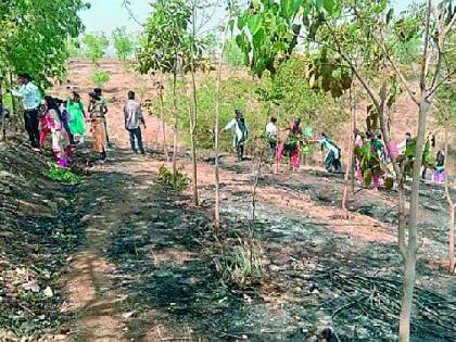 3,000 trees were burnt in oxygen park fire in wardha | वर्धेच्या निसर्ग हिल परिसरात आगडोंब; ३ हजार झाडं जळाली