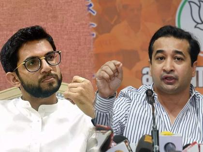 'Narco test Aditya Thackeray, let the truth come out once' Nitesh Rane demands | 'आदित्य ठाकरेंची नार्को टेस्ट करा, एकदाच काय ते सत्य बाहेर येऊ द्या’ नितेश राणेंची मागणी