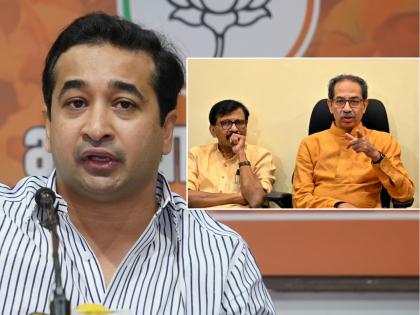 Nitesh Rane criticizes Sanjay Raut, Uddhav Thackeray over Ram Temple agitation | ...तर मी 'सामना'त १ महिना नोकरी करेन; नितेश राणेंनी ठाकरेंना का दिले चॅलेंज?