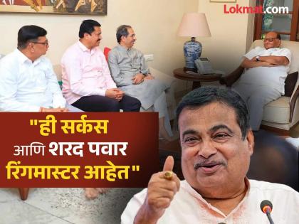 Nitin Gadkari made a political prediction that the Maha vikas Aghadi will not get majority in the Maharashtra Assembly elections 2024 | "केस नसताना डोक्यावरून कंगवा फिरवणारे खूप"; गडकरींचा मुख्यमंत्रि‍पदावरून मविआच्या नेत्यांना चिमटा