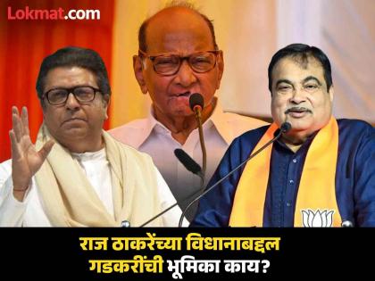 It is unfair to say that Sharad Pawar spoiled the politics of Maharashtra, said Nitin Gadkari on Raj Thackeray's statement | 'शरद पवारांमुळे राजकारणाचा विचका', राज ठाकरेंचं म्हणणं मान्य आहे का? नितीन गडकरी म्हणाले...