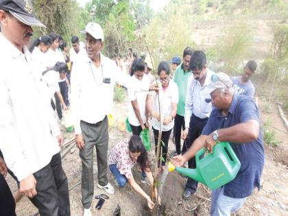 Tree plant in Navi Mumbai city on the occasion of World Environment Day | जागतिक पर्यावरण दिनानिमित्त नवी मुंबई शहरात वृक्षलागवड