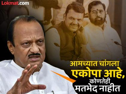 Now we will expand the party and then fight the elections together Ajit Pawar | आता आम्ही पक्ष वाढवू नंतर निवडणूक एकत्र लढवू - अजित पवार Now we will expand the party and then fight the elections together Ajit Pawar | आता आम्ही पक्ष वाढवू नंतर निवडणूक एकत्र लढवू - अजित पवार