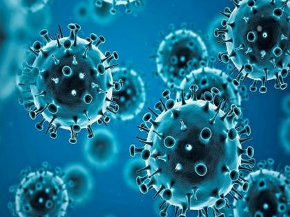 Corona virus variant is mild; don't panic, be careful | Covid-19 Variant: कोरोना विषाणूचा व्हेरियंट सौम्य; घाबरू नका, काळजी घ्या Corona virus variant is mild; don't panic, be careful | Covid-19 Variant: कोरोना विषाणूचा व्हेरियंट सौम्य; घाबरू नका, काळजी घ्या