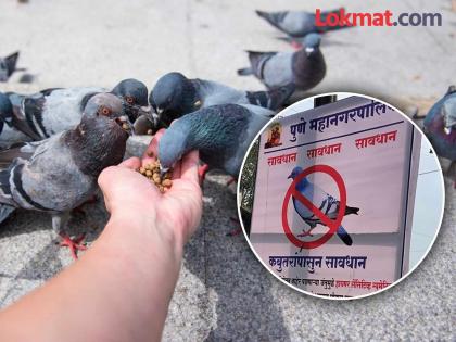 Go dove, time to say go! Diseases spread by fecal parasites including pinworms | कबुतर जा जा, म्हणण्याची वेळ! पिंसासह विष्ठेतील जंतुमुळे पसरतायेत आजार