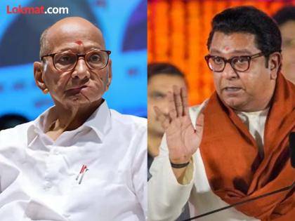 Sharad Pawar and Raj Thackeray meeting in Hadapsar Public meeting of both on Thursday | हडपसरमध्ये शरद पवार अन् राज ठाकरेंची तोफ धडाडणार; गुरुवारी दोघांच्या जाहीर सभा