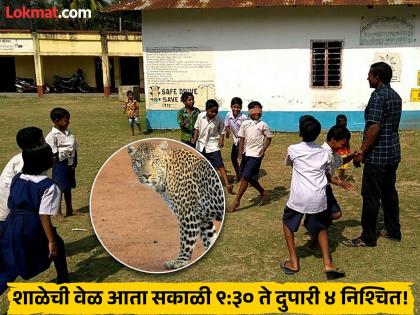 बिबट्याची दहशत! मुलांच्या प्रवासात हल्ल्याची शक्यता; पुणे जिल्ह्यातील अतिसंवेदनशील क्षेत्रात शाळांच्या वेळात बदल