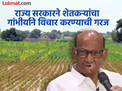 In an unprecedented situation urgent help along with permanent help is needed; otherwise, agriculture will face major problems - Sharad Pawar | अभूतपूर्व परिस्थितीत तातडीच्या मदतीसह कायमस्वरुपी मदतीची गरज; अन्यथा शेती मोठ्या समस्येत - शरद पवार