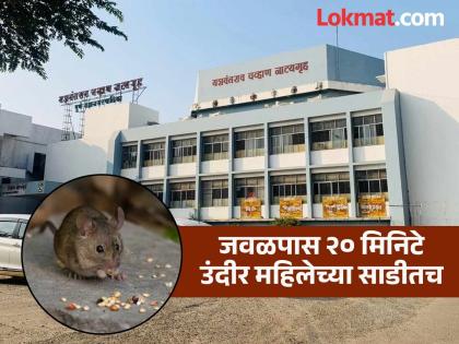 A rat entered the saree of a woman who had come to watch a play A sensational incident at Yashwantrao Theatre | नाटक पाहण्यासाठी आलेल्या महिलेच्या साडीत शिरला उंदीर; यशवंतराव नाट्यगृहातील खळबळजनक प्रकार A rat entered the saree of a woman who had come to watch a play A sensational incident at Yashwantrao Theatre | नाटक पाहण्यासाठी आलेल्या महिलेच्या साडीत शिरला उंदीर; यशवंतराव नाट्यगृहातील खळबळजनक प्रकार