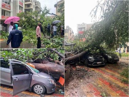 Heavy rains in Pimpri Chinchwad and Maval Incidents of falling trees damage to vehicles | पिंपरी- चिंचवड आणि मावळात जोरदार पाऊस सुरू; झाडपडीच्या घटना, वाहनांचे नुकसान