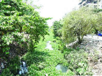  The main canals in the shoulder colony are also waiting for cleaning | खांदा वसाहतीतील मुख्य नालेही सफाईच्या प्रतीक्षेत