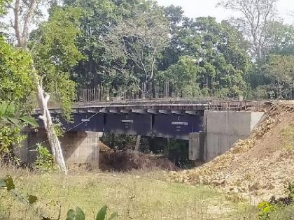 Forest Department NOC blocked the way for construction of 23 bridges | वनविभागाच्या ‘एनओसी’ने अडविला २३ पुलांच्या उभारणीचा मार्ग