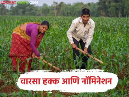 Latest news Let's understand inheritance rights and nomination process in land or investment | गुंतवणूक केली आहे: पण, नॉमिनी'चे नाव द्यायला विसरला आहात, अशावेळी काय करायचं? Latest news Let's understand inheritance rights and nomination process in land or investment | गुंतवणूक केली आहे: पण, नॉमिनी'चे नाव द्यायला विसरला आहात, अशावेळी काय करायचं?