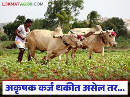 Latest News Farmers' accounts become NPAs due to outstanding non-agricultural loans, mahdbt subsidy also stops | तर महाडीबीटीसह इतर शेतकरी योजनांचे अनुदान मिळणे बंद होईल, काय आहे कारण? Latest News Farmers' accounts become NPAs due to outstanding non-agricultural loans, mahdbt subsidy also stops | तर महाडीबीटीसह इतर शेतकरी योजनांचे अनुदान मिळणे बंद होईल, काय आहे कारण?