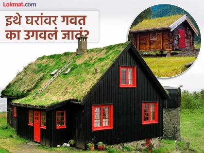 'या' देशात घराच्या छतांवर उगवलं जातं गवत, हिरव्या छतामागे दडलं आहे इंटरेस्टींग रहस्य