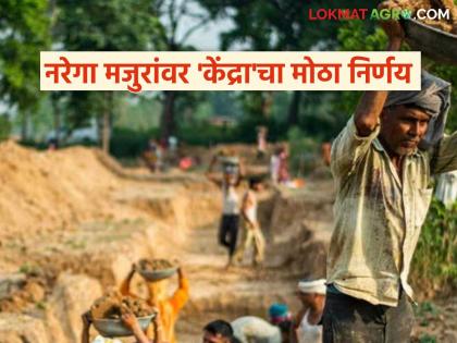 latest news NREGA Wage Rate 2026: Why did the NREGA wage increase stop? Decision at Rs 312; Know the reason | NREGA Wage Rate 2026 : नरेगा मजुरी वाढ का थांबली? ३१२ रुपयांवरच निर्णय; जाणून घ्या कारण latest news NREGA Wage Rate 2026: Why did the NREGA wage increase stop? Decision at Rs 312; Know the reason | NREGA Wage Rate 2026 : नरेगा मजुरी वाढ का थांबली? ३१२ रुपयांवरच निर्णय; जाणून घ्या कारण