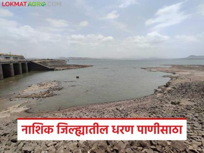 Latest news Nashik's water storage at 35 percent, Gangapur dam 47 percent | नाशिकचा जलसाठा 35 टक्क्यांवर, गंगापूर धरणात किती पाणी, चार दिवसांत अडीच टक्क्यांनी घट Latest news Nashik's water storage at 35 percent, Gangapur dam 47 percent | नाशिकचा जलसाठा 35 टक्क्यांवर, गंगापूर धरणात किती पाणी, चार दिवसांत अडीच टक्क्यांनी घट