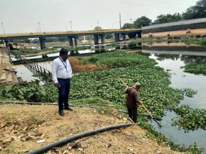 Culex mosquitoes in Nashak, citizens are suffering | नाशकात क्युलेक्स डास, नागरिकांना होतोय त्रास