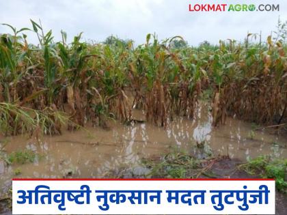 Latest News Nuksan Bharpai The central and state governments will jointly provide assistance of Rs 50 thousand per hectare to farmers | Nuksan Bharpai : राज्य सरकारची 27 हजार रुपयांची मदत तुटपुंजी; प्रति हेक्टरी 50 हजार रुपये मदत द्या! Latest News Nuksan Bharpai The central and state governments will jointly provide assistance of Rs 50 thousand per hectare to farmers | Nuksan Bharpai : राज्य सरकारची 27 हजार रुपयांची मदत तुटपुंजी; प्रति हेक्टरी 50 हजार रुपये मदत द्या!