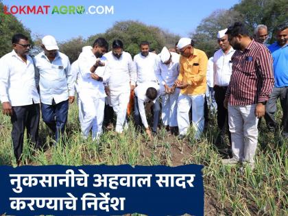Latest News Immediately conduct Panchnama of the damaged farms and submit report to the government | नुकसानग्रस्त शेतीचे तात्काळ पंचनामा करून शासनास अहवाल सादर करा, कुणी दिले निर्देश Latest News Immediately conduct Panchnama of the damaged farms and submit report to the government | नुकसानग्रस्त शेतीचे तात्काळ पंचनामा करून शासनास अहवाल सादर करा, कुणी दिले निर्देश