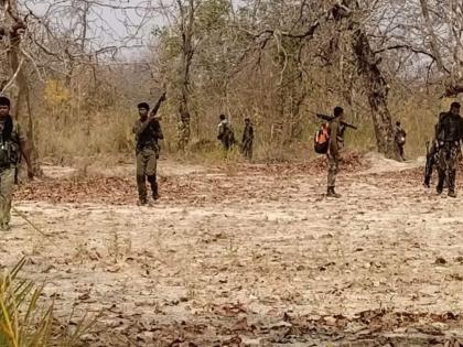 Another clash in Gadchiroli, 6 Naxals killed by police | गडचिरोलीत मोठी चकमक, पोलिसांकडून 13 नक्षलवाद्यांचा खात्मा