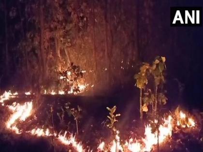 Forest fire erupts in Odisha, 'Special Task Force' to control fire | Odisha Forest Fire: ओडिशात जंगल पेटलं, आगीवर नियंत्रण मिळवण्यासाठी 'स्पेशल टास्क फोर्स' 