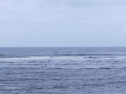 Fisherman Boat drowned on the Mandvi coast in Ratnagiri; One missing, four rescued | रत्नागिरीतील मांडवी किनारी नाैका बुडाली; एकजण बेपत्ता, चाैघांना वाचविण्यात यश