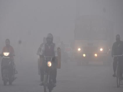 Temperature down to 1.5 degrees in delhi; Dense fog disrupts traffic | दिल्लीचा झाला बर्फ, तापमान १.५ अंशांपर्यंत खाली; दाट धुक्यांनी वाहतूक विस्कळीत