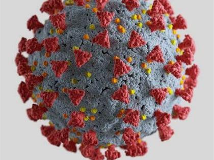 Coronavirus infection in 10th standard student in Nagpur district; School closed for a week | नागपूर जिल्ह्यात दहावीच्या विद्यार्थिनीला कोरोनाची लागण; शाळा एक आठवडा बंद