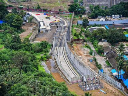 The case of tree felling in 'Aarey' is again in the Supreme Court | ‘आरे’तील वृक्षतोडीचा वाद पुन्हा सुप्रीम कोर्टात; 'तोपर्यंत' झाडे न तोडण्याची कोर्टाची सूचना