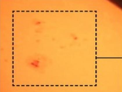 Events in the solar system have suddenly increased the number of sunspots. | सूर्यावरील डागांची संख्या अचानक वाढली; चुंबकीय लहरींचा झोत पृथ्वीवर आदळण्याची शक्यता