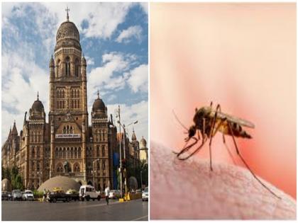 Monsoon diseases prevail in Mumbai; BJP MLA Amit Satam letter to BMC Commissioner iqbal singh chahal | मुंबईत पावसाळी आजार बळावले; भाजपा आमदाराचं BMC आयुक्तांना पत्र