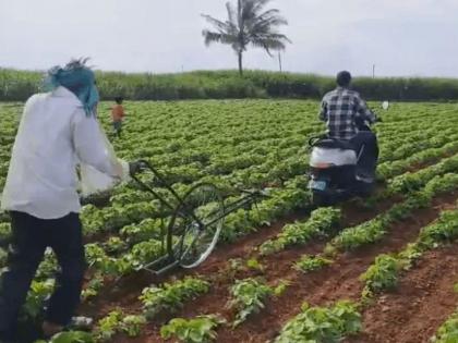 Ola's bullock cart! Ploughed 30 acres of land with electric scooter S1 PRO; farmer said... | ओलाचा बैल केला, शेतीला जुंपला! ईलेक्ट्रीक स्कूटरने ३० एकर शेत नांगरले; शेतकरी म्हणाले... Ola's bullock cart! Ploughed 30 acres of land with electric scooter S1 PRO; farmer said... | ओलाचा बैल केला, शेतीला जुंपला! ईलेक्ट्रीक स्कूटरने ३० एकर शेत नांगरले; शेतकरी म्हणाले...