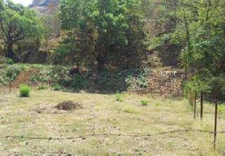 'Girivan' residents are destined to fly | 'गिरीवन'वासीयांच्या नशिबी वनवासच 'Girivan' residents are destined to fly | 'गिरीवन'वासीयांच्या नशिबी वनवासच