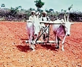 The farmer started preparing for the Kharipa | शेतकरी लागला खरिपाच्या तयारीला