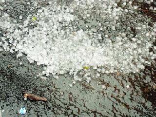 Gavanggoan hailstorm excluded from the list | गवंडगावच्या गारपीटग्रस्तांच्या यादीतून वगळले Gavanggoan hailstorm excluded from the list | गवंडगावच्या गारपीटग्रस्तांच्या यादीतून वगळले